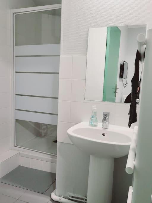 Appartement Proche Disneyland Parc Asterix "Appart'4" Pierrefitte-sur-Seine Εξωτερικό φωτογραφία